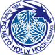 https://img.wjcha.com/Sports/timg/team_1306.jpg