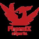Phoenix Esports