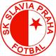 https://img.wjcha.com/Sports/timg/team_856.jpg